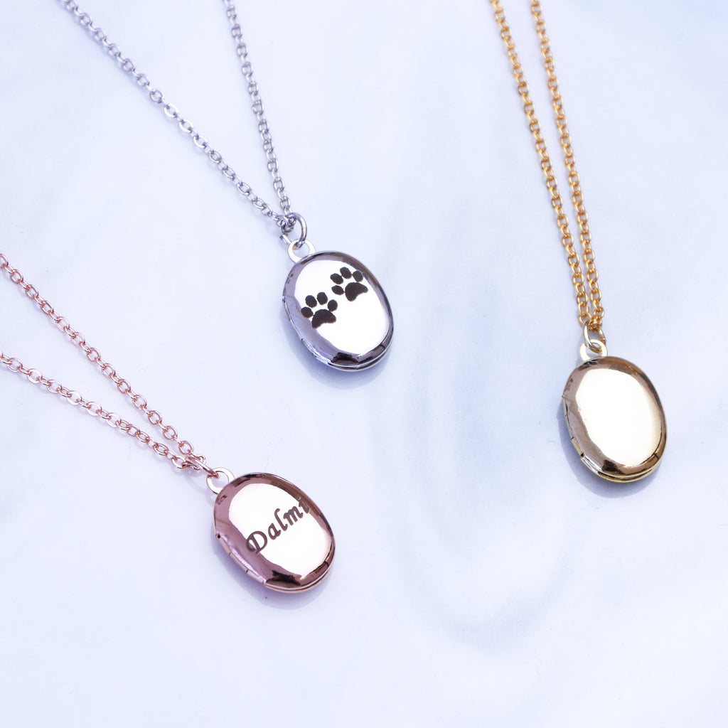 <transcy>Kleine medaillon ketting zilver rosé goud of vergulde ovale medaillon ketting</transcy>